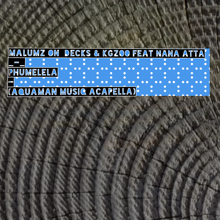 Malumz on Decks & Kgzoo feat. Nana Atta - Phumelela Accapella  Image